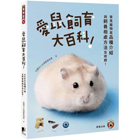 鼠類寵物|愛鼠飼育大百科：常見寵物鼠品種介紹與飼養相處方法全收錄！